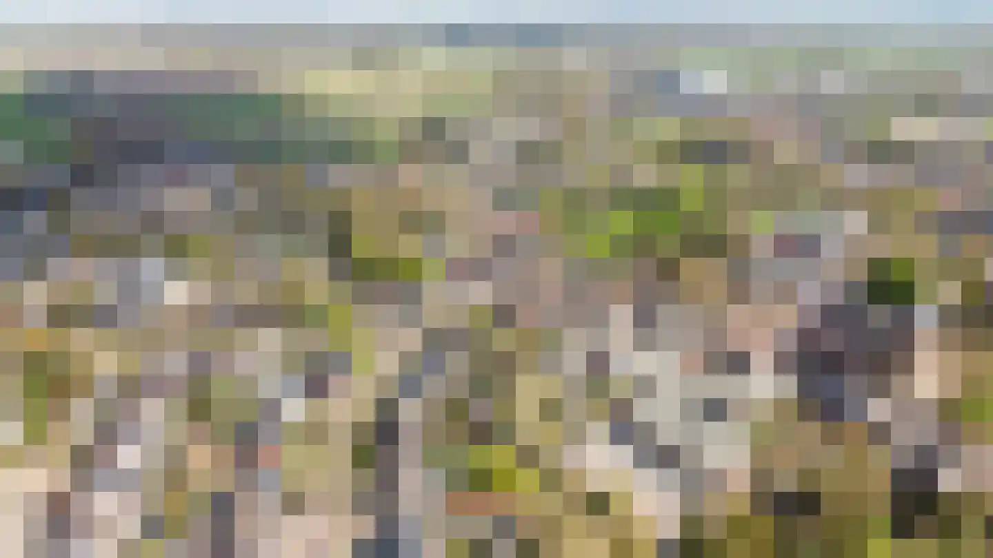 Roggestraat 2 Den Ham thumbnail 6