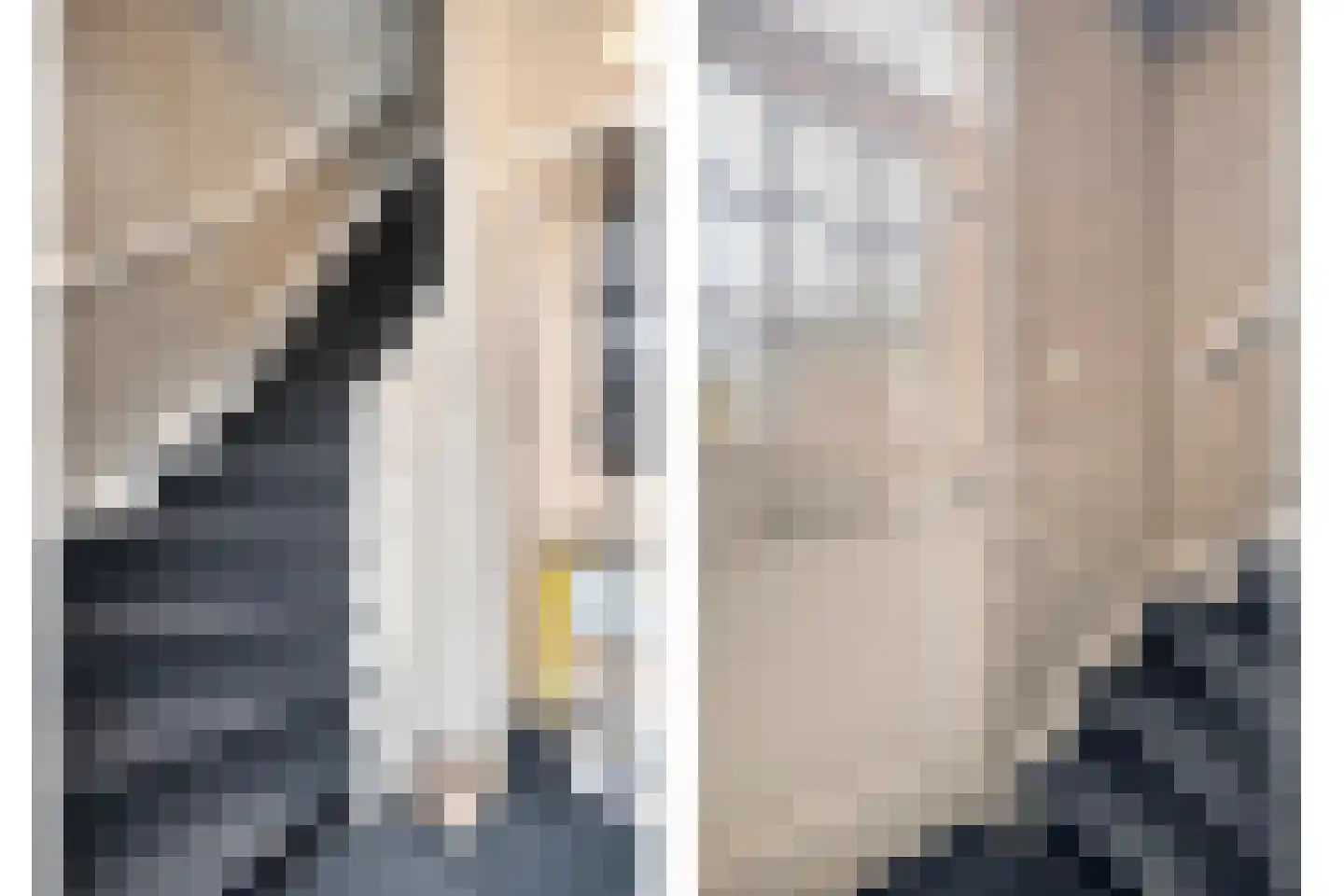 Roggestraat 2 Den Ham thumbnail 4