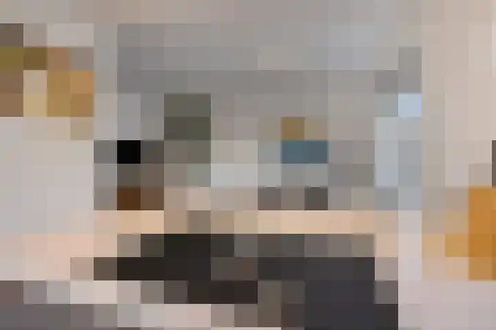 Roggestraat 2 Epe thumbnail 15
