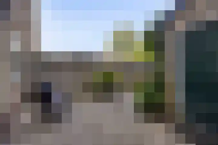 Roggestraat 2 Epe thumbnail 27