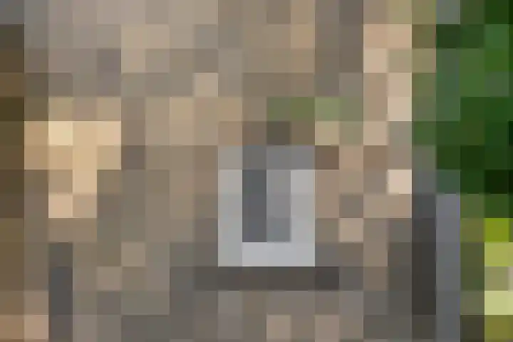 Roggestraat 2 Epe thumbnail 33