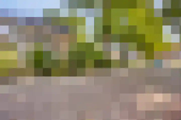 Roggestraat 2 Epe thumbnail 34