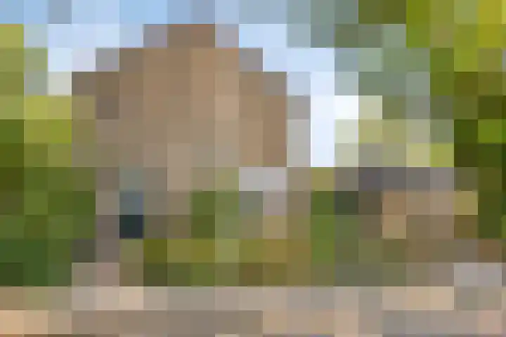 Roggestraat 2 Epe thumbnail 36