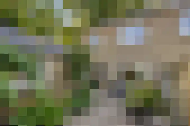 Roggestraat 2 Epe thumbnail 4