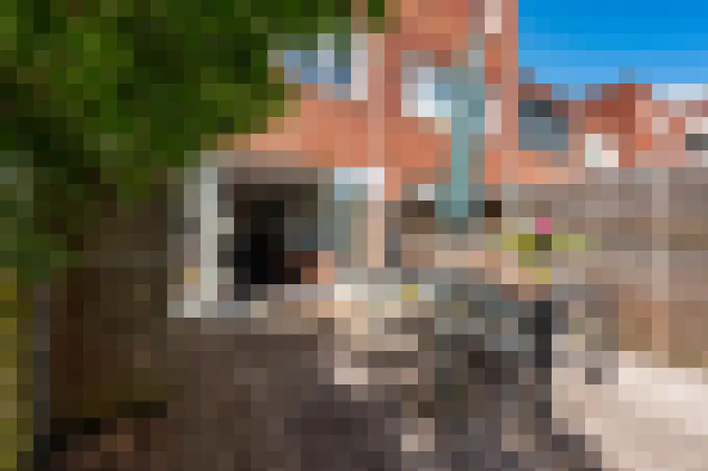 Roggestraat 20 Apeldoorn thumbnail 30