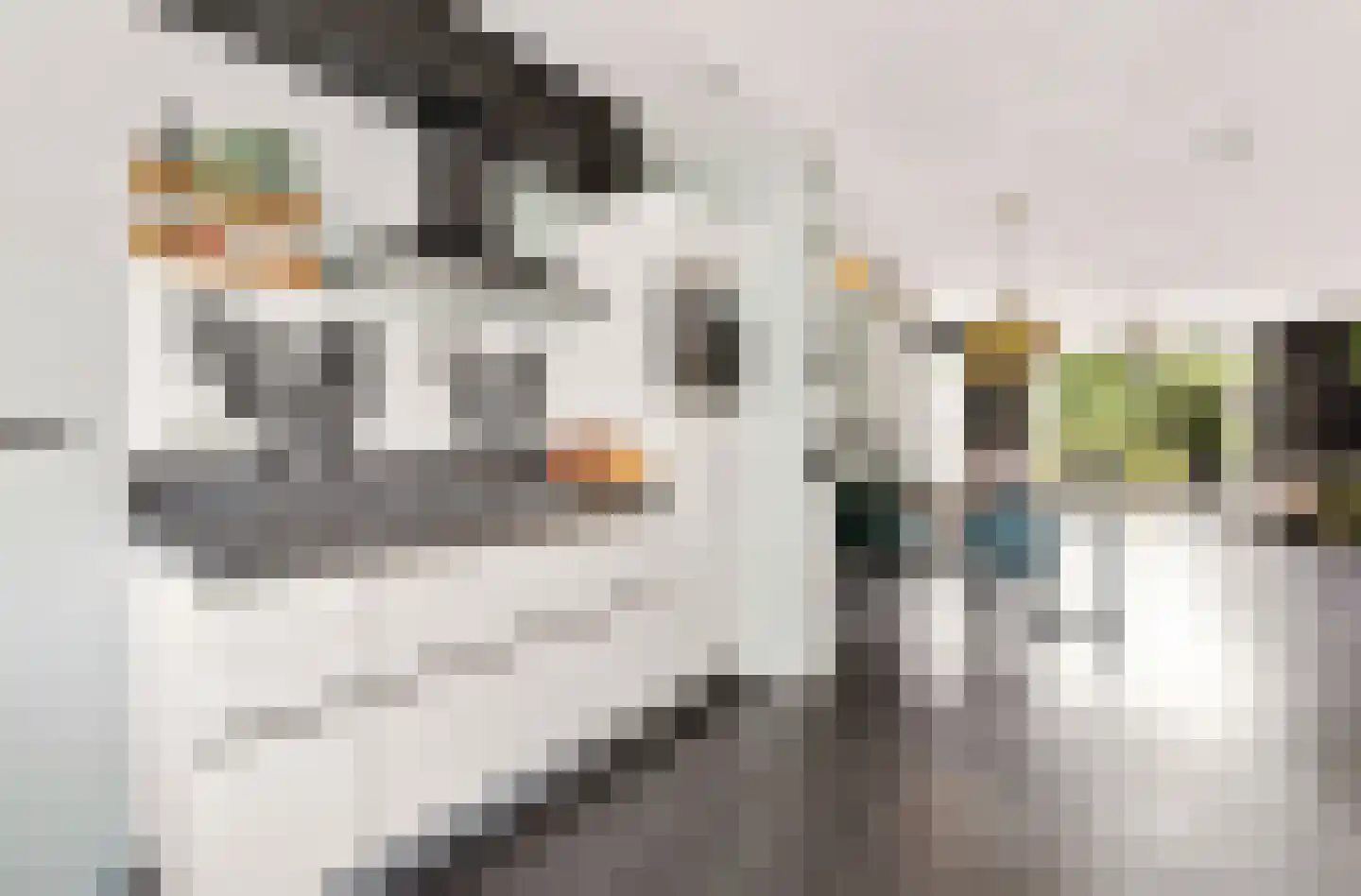 Roggestraat 20 Apeldoorn thumbnail 4