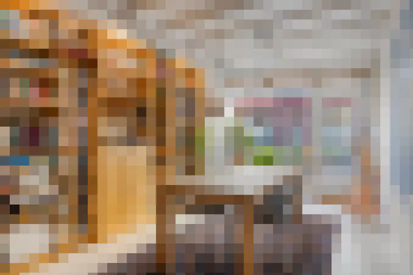 Roggestraat 21 Doesburg thumbnail 10