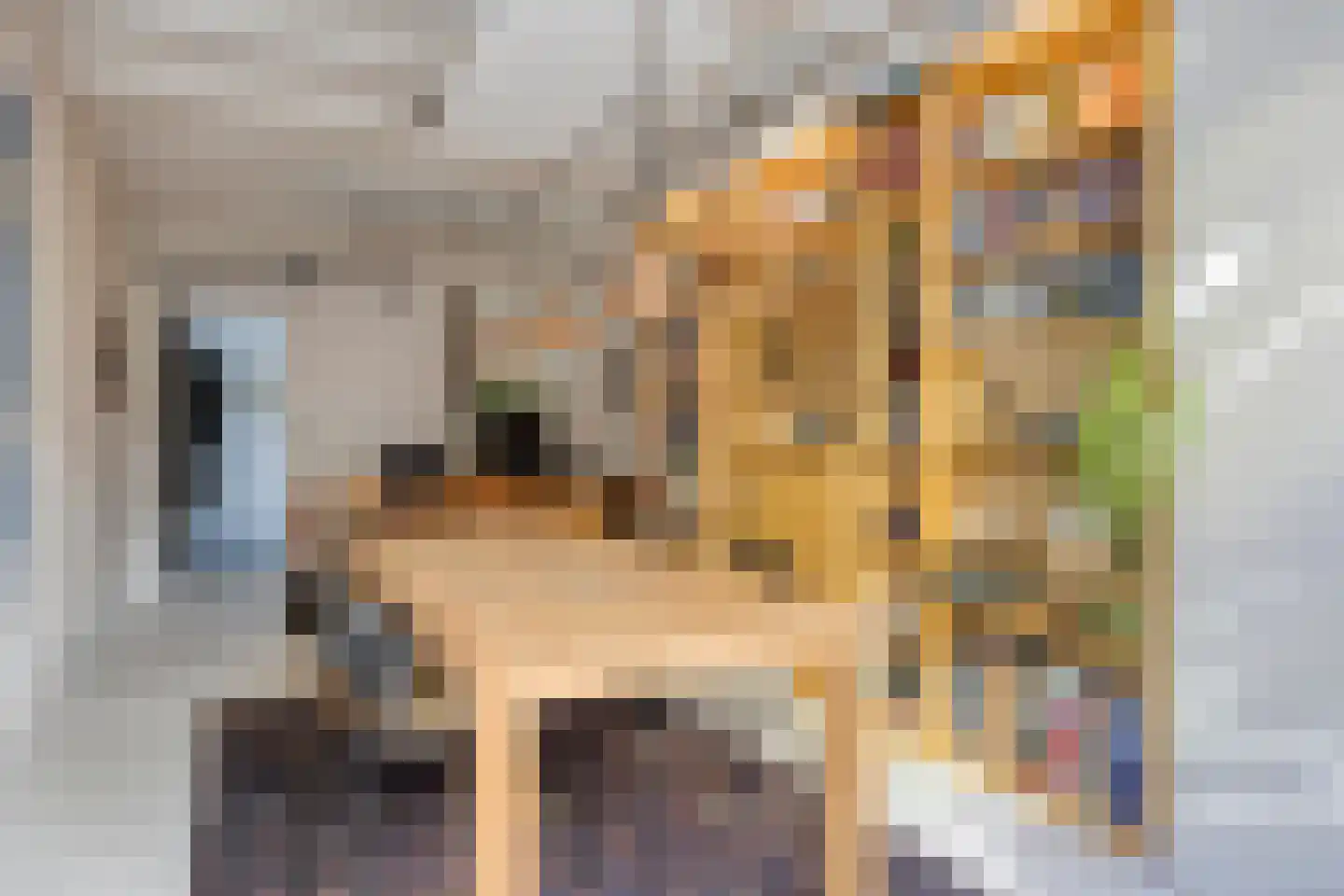 Roggestraat 21 Doesburg thumbnail 9