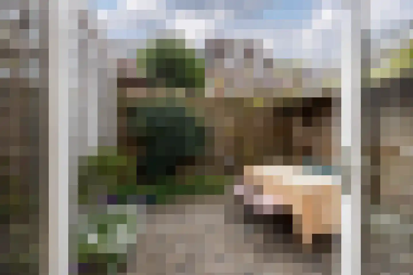 Roggestraat 21 Utrecht thumbnail 12