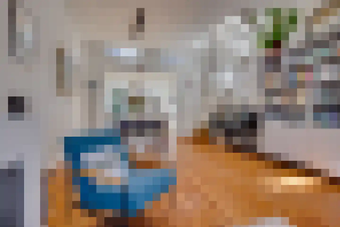 Roggestraat 21 Utrecht thumbnail 7