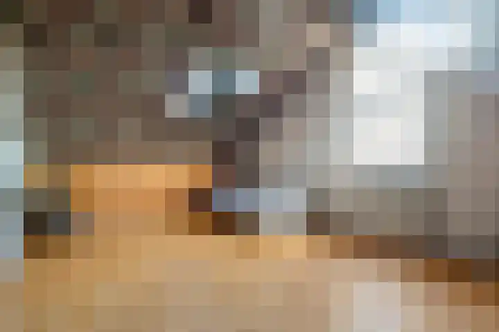 Roggestraat 22 Den Ham thumbnail 31