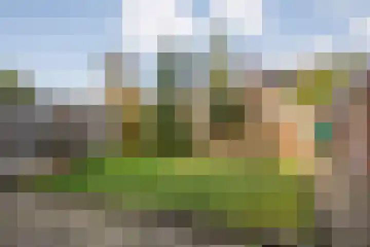 Roggestraat 22 Den Ham thumbnail 34