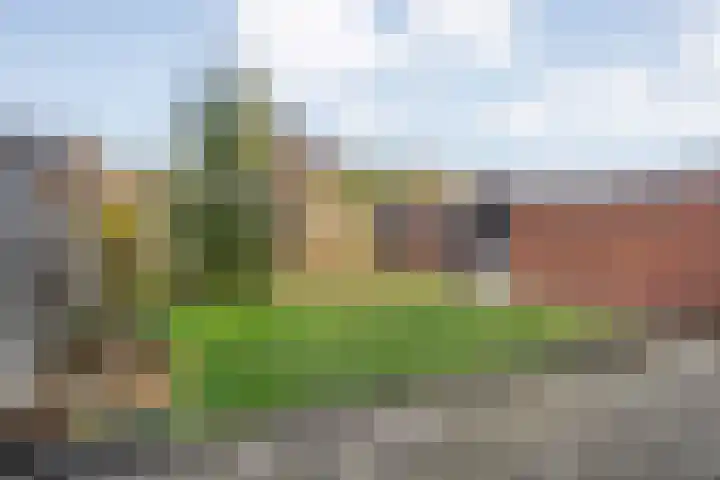 Roggestraat 22 Den Ham thumbnail 37