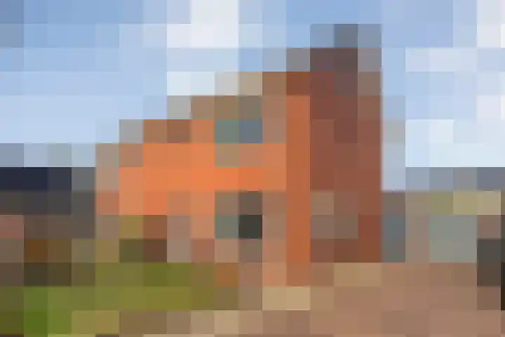 Roggestraat 22 Den Ham thumbnail 7