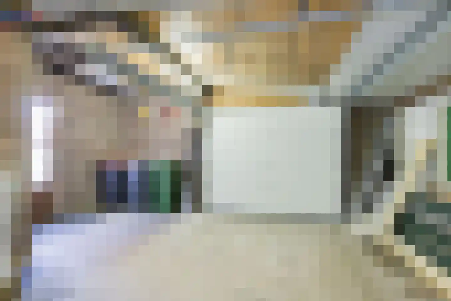 Roggestraat 23 Halle thumbnail 27
