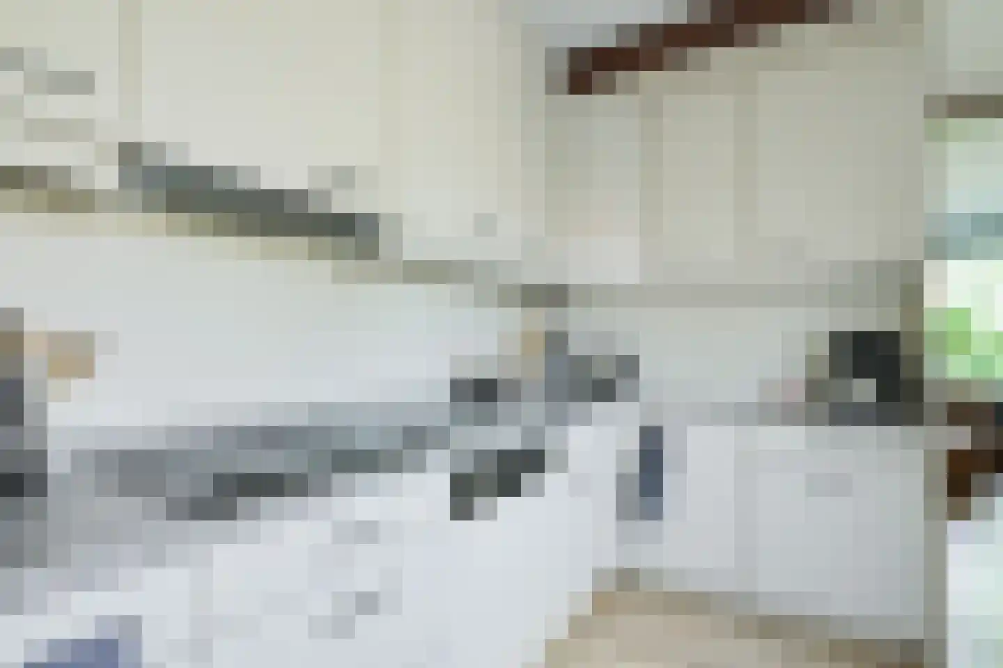 Roggestraat 23 Halle thumbnail 9