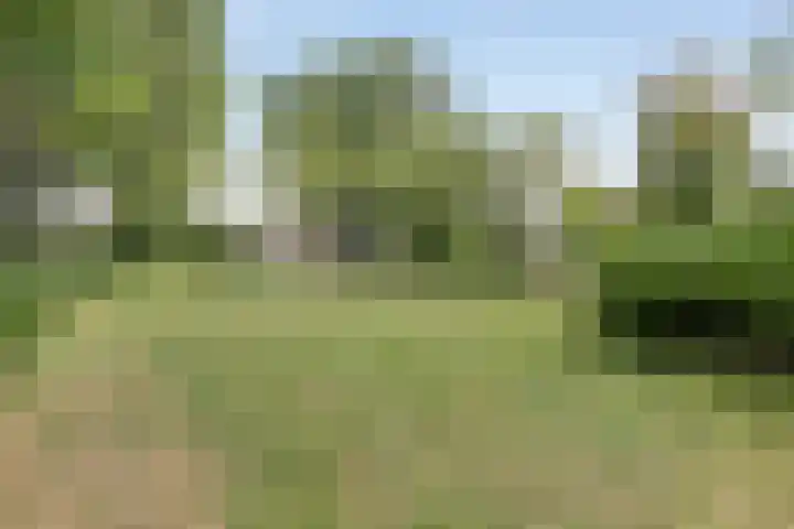 Roggestraat 26 Ridderkerk thumbnail 33
