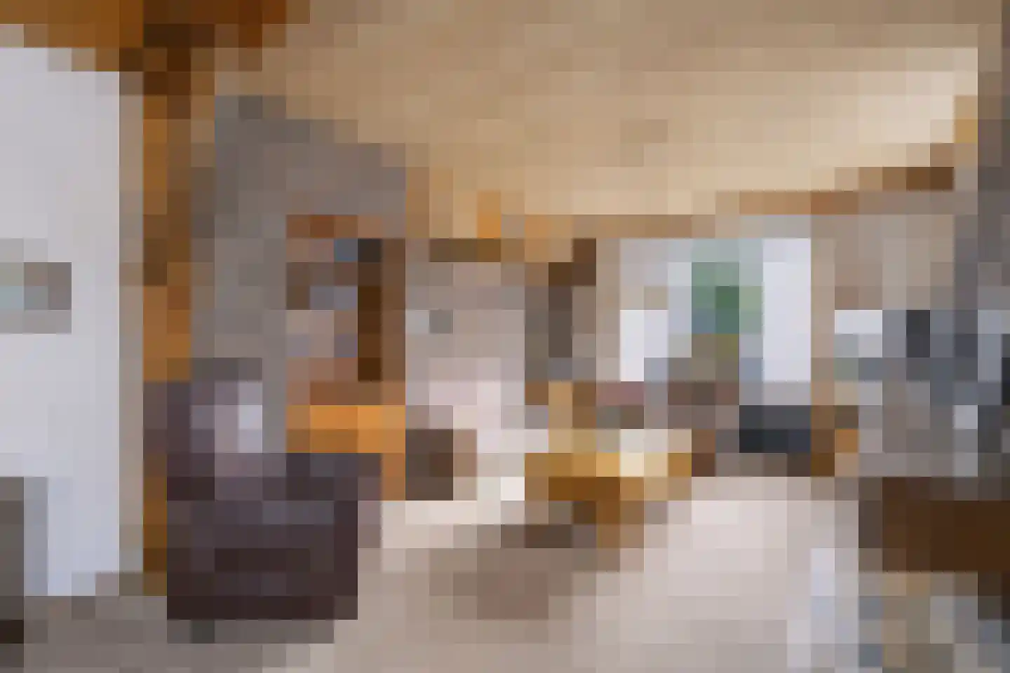 Roggestraat 30 Den Ham thumbnail 10