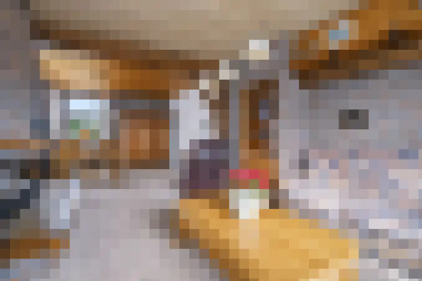 Roggestraat 30 Den Ham thumbnail 11