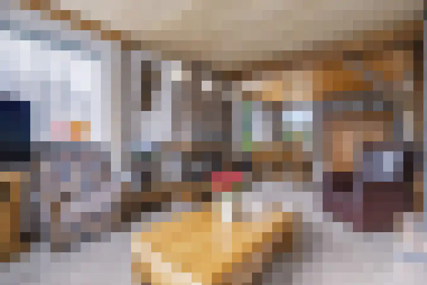 Roggestraat 30 Den Ham thumbnail 12