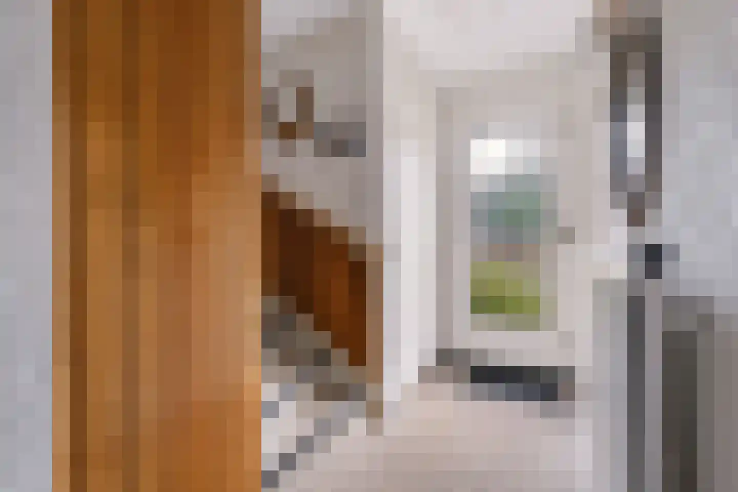 Roggestraat 30 Den Ham thumbnail 17