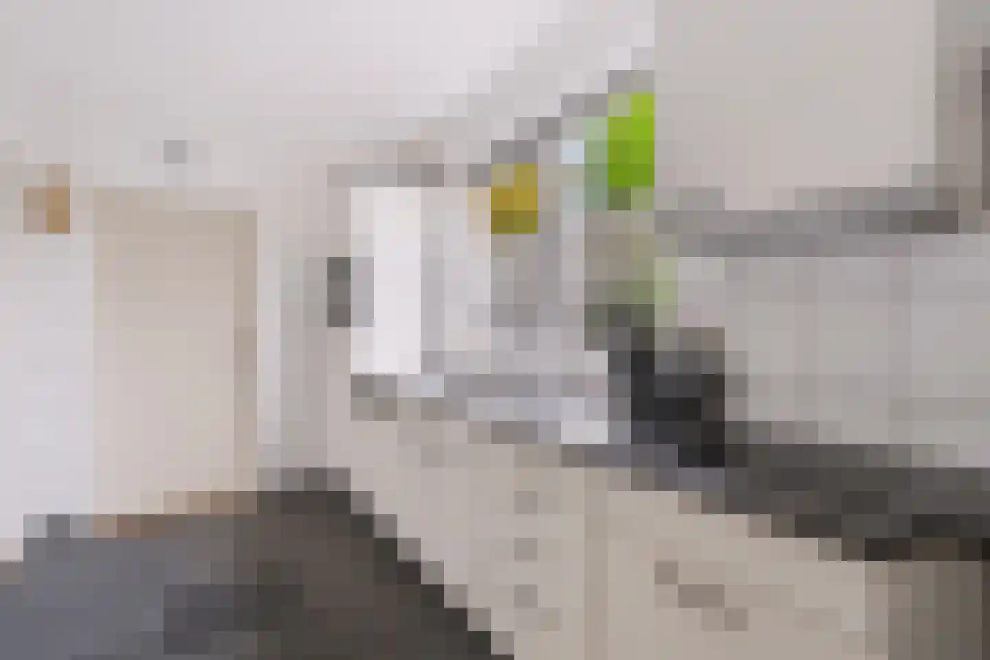 Roggestraat 30 Den Ham thumbnail 8