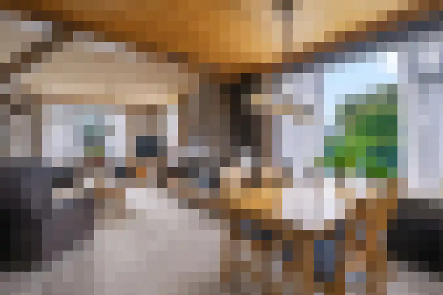 Roggestraat 30 Den Ham thumbnail 9