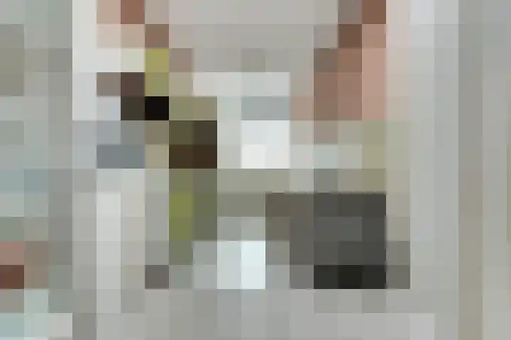 Roggestraat 32 Tilburg thumbnail 6