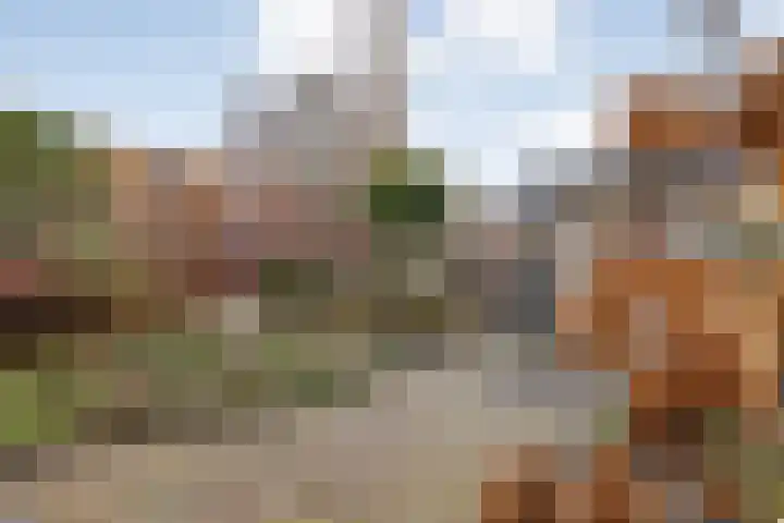 Roggestraat 35 Den Ham thumbnail 48