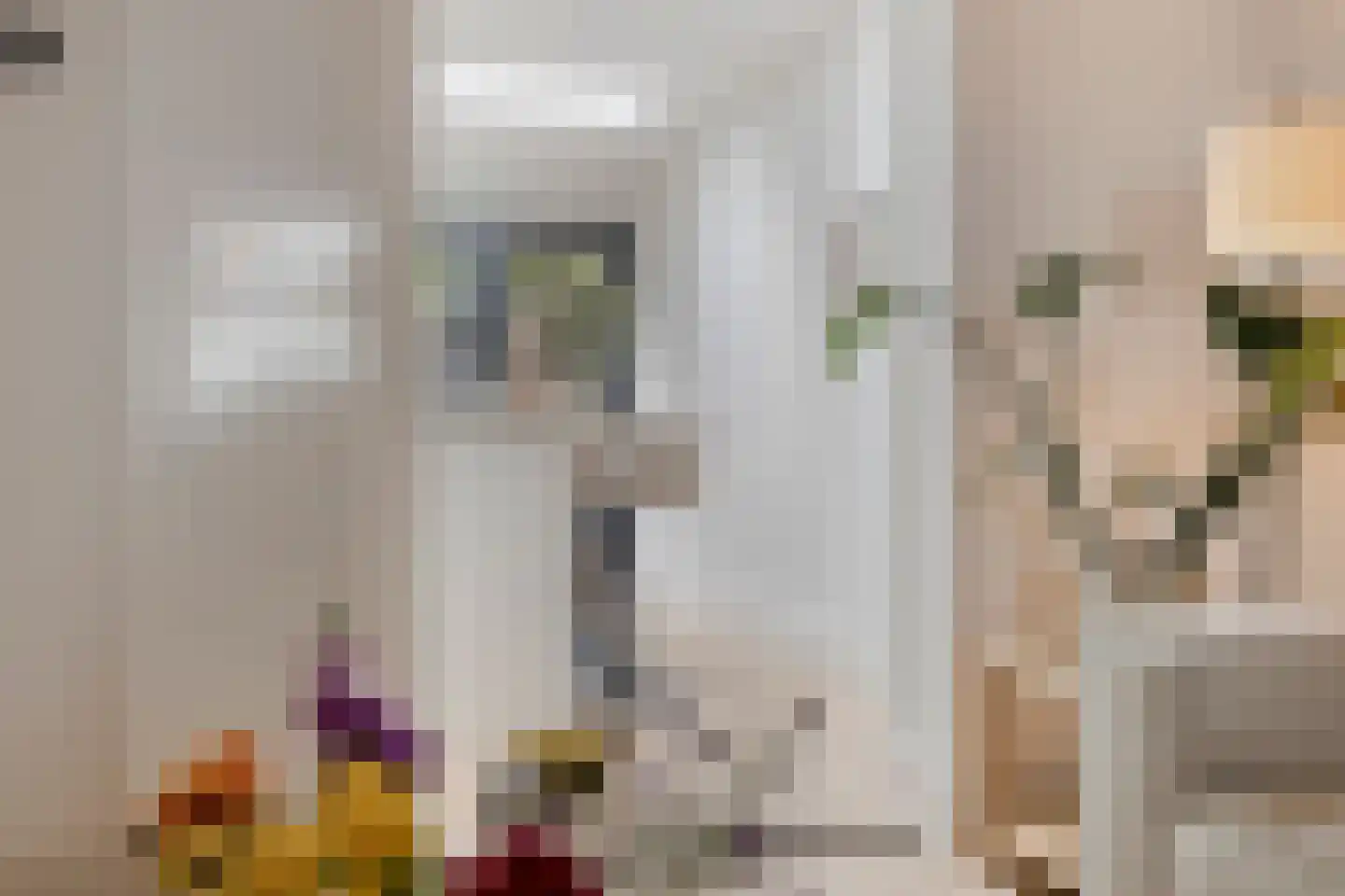 Roggestraat 35 Tilburg thumbnail 14