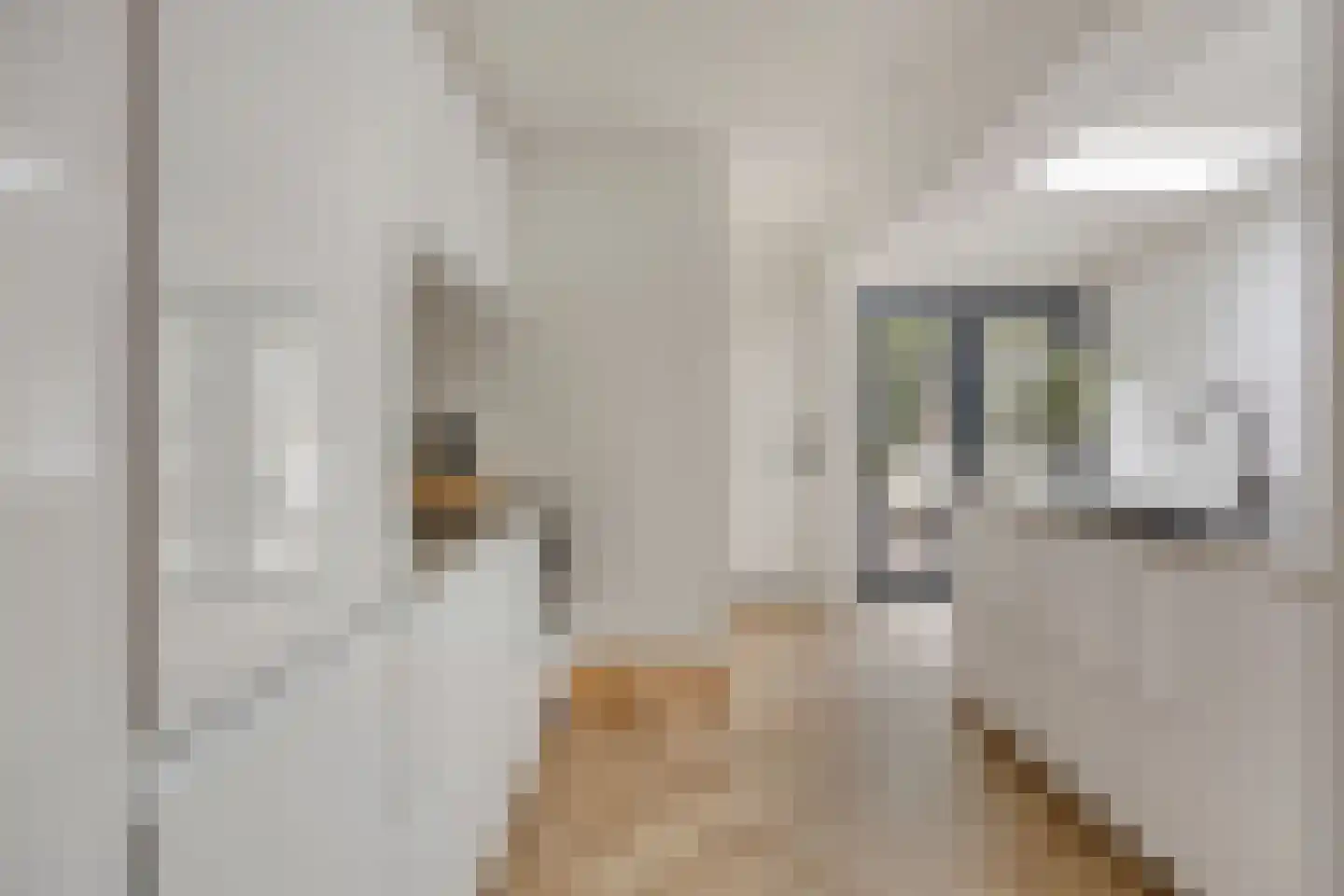 Roggestraat 35 Tilburg thumbnail 17