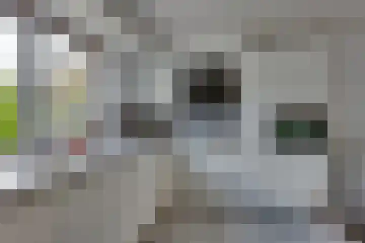 Roggestraat 4 Markelo thumbnail 12