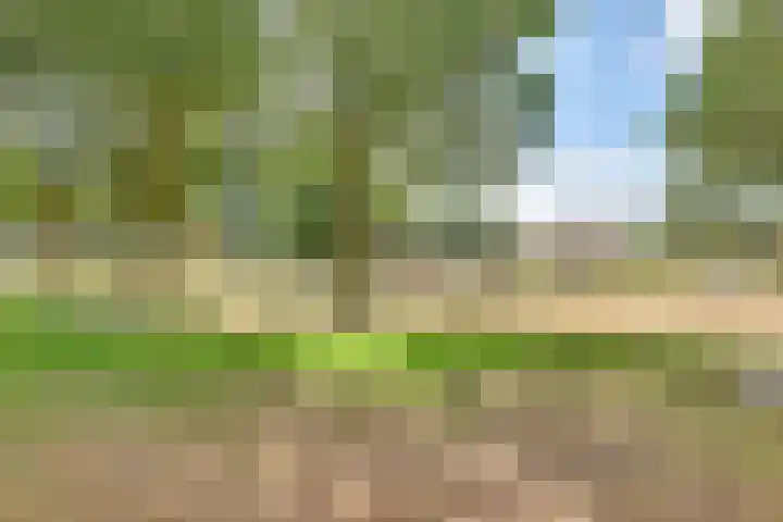 Roggestraat 4 Markelo thumbnail 36