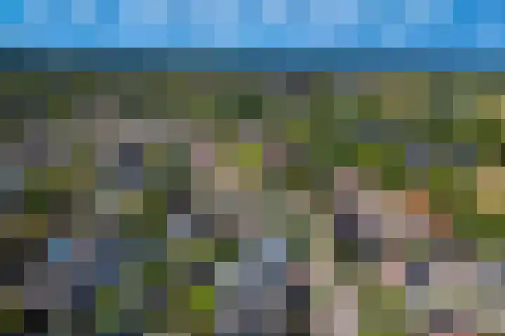 Roggestraat 4 Markelo thumbnail 37