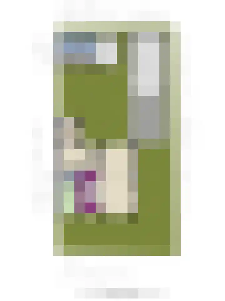 Roggestraat 4 Varsseveld thumbnail 37