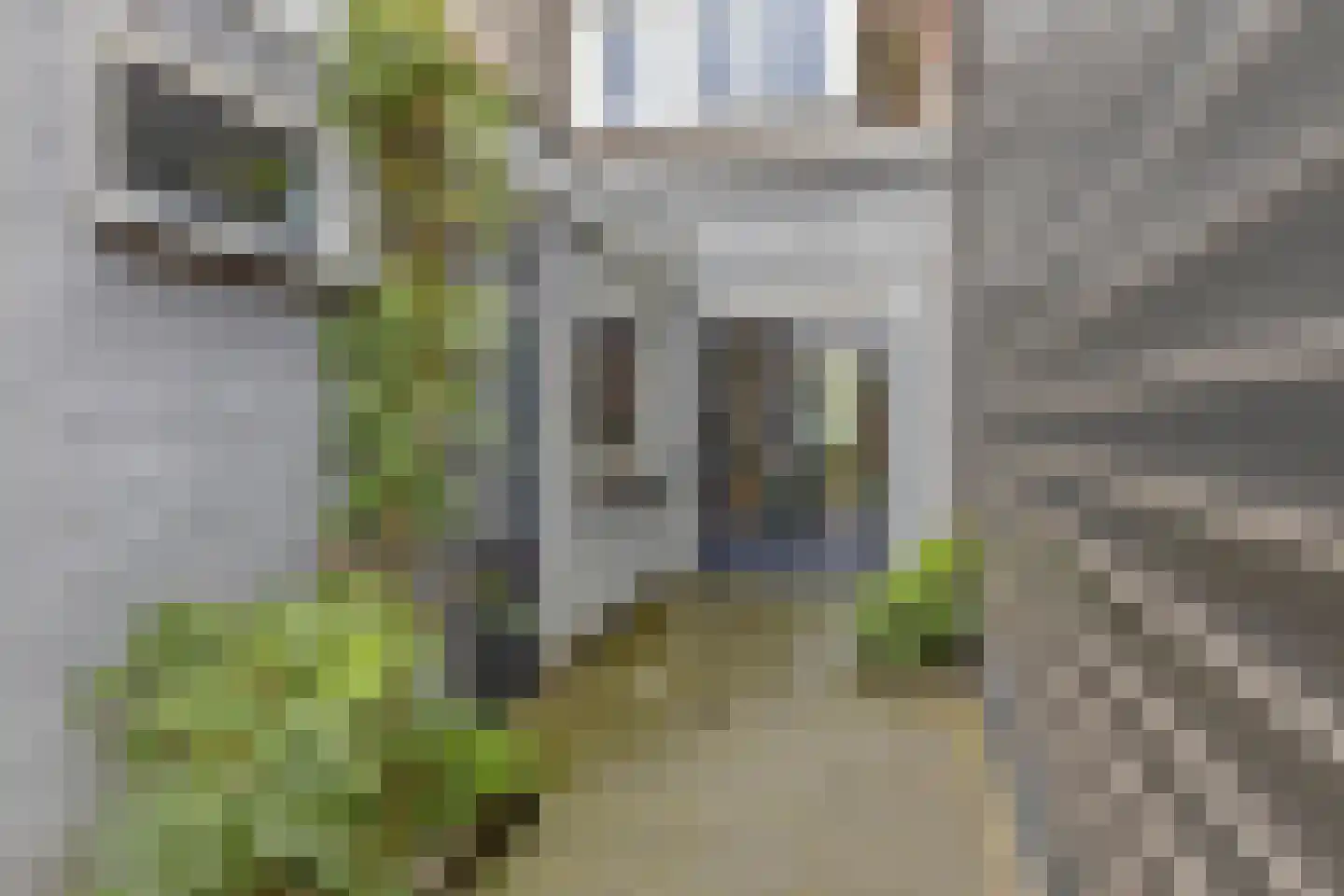 Roggestraat 44 Tilburg thumbnail 21