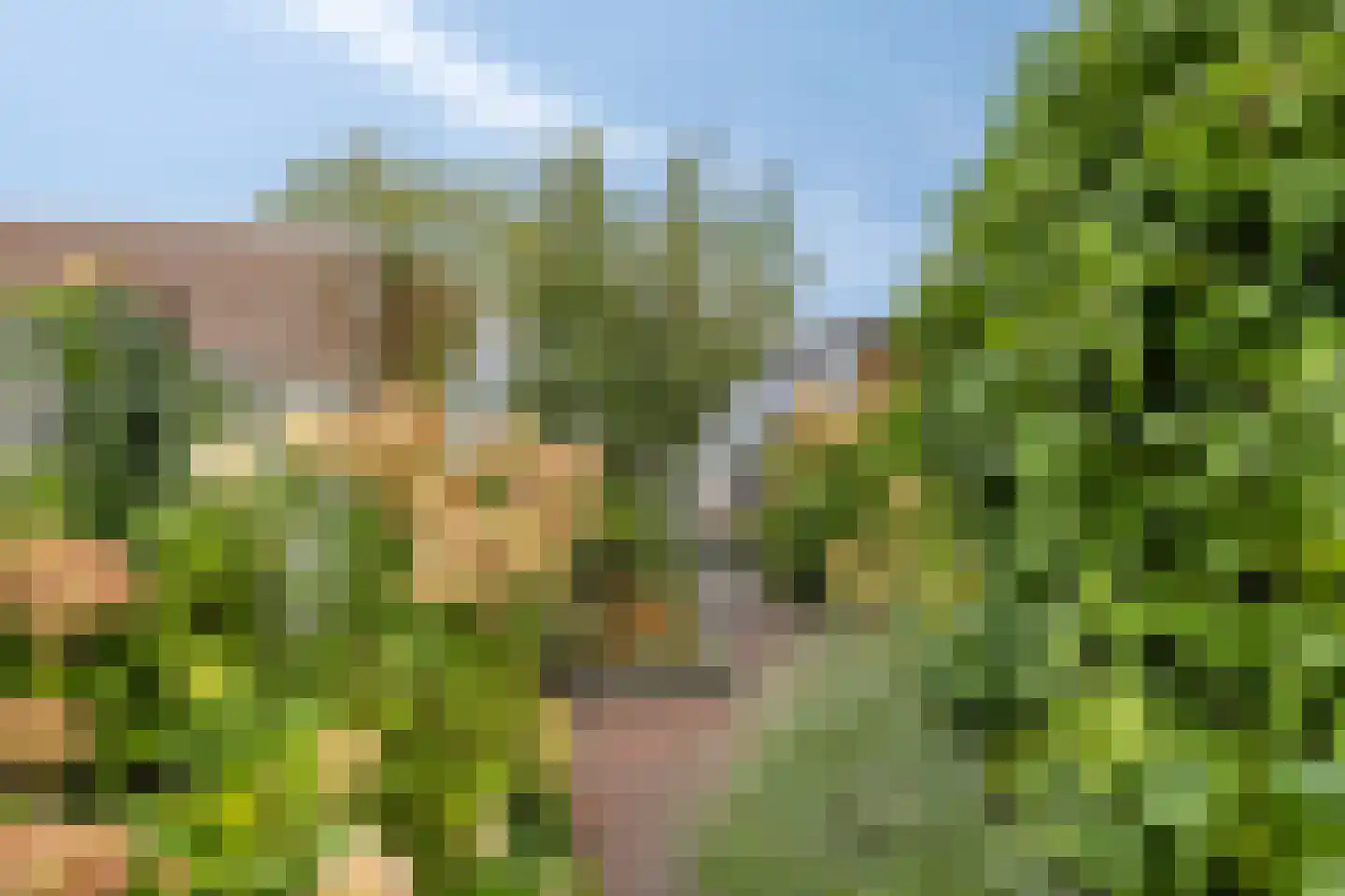Roggestraat 44 Tilburg thumbnail 7