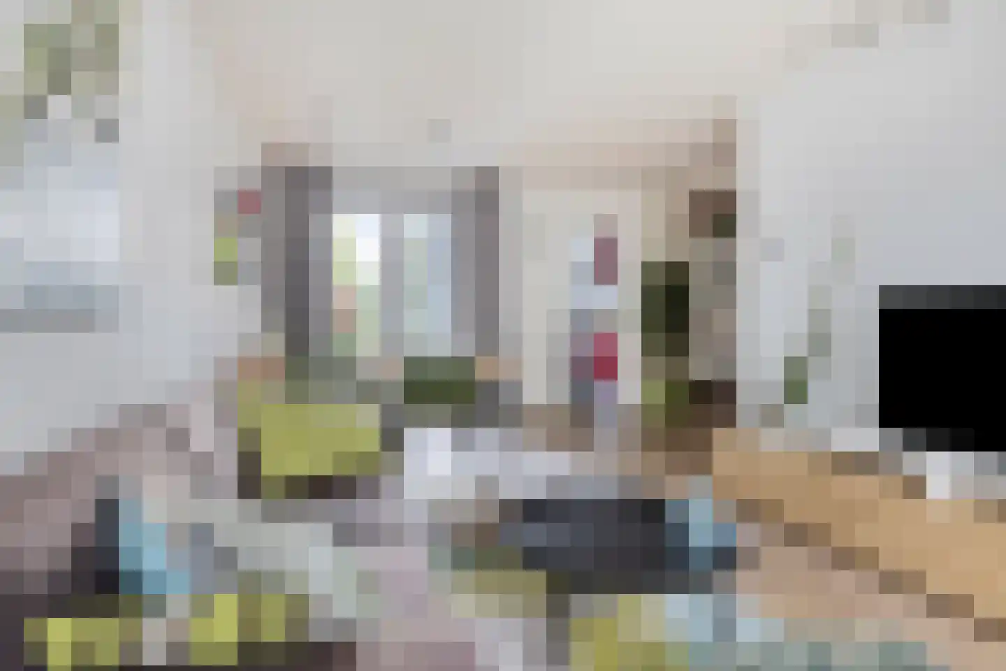 Roggestraat 44 Tilburg thumbnail 8