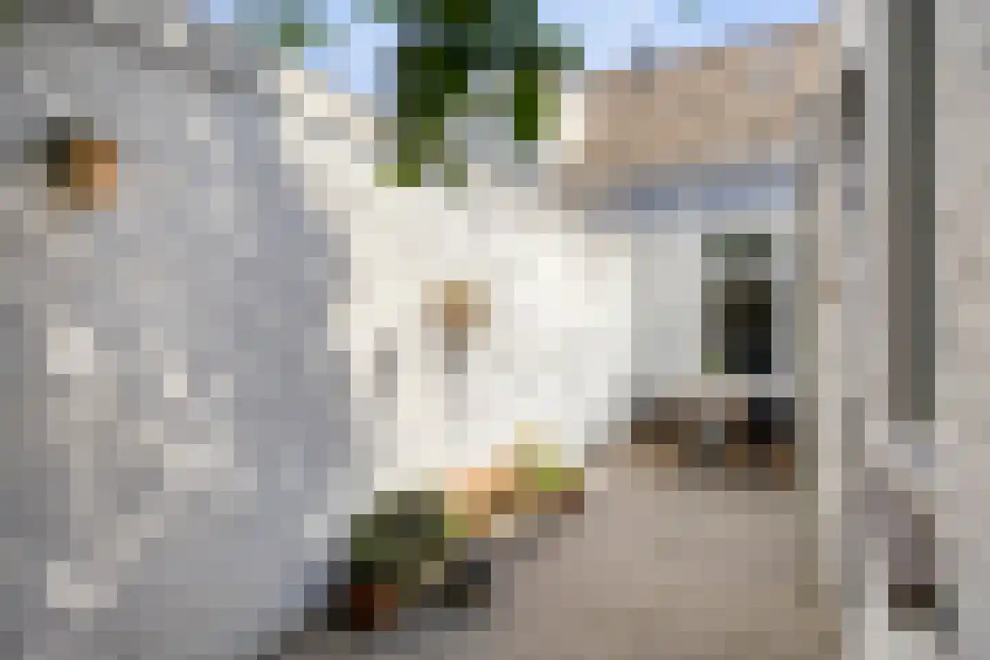 Roggestraat 5 Tilburg thumbnail 19