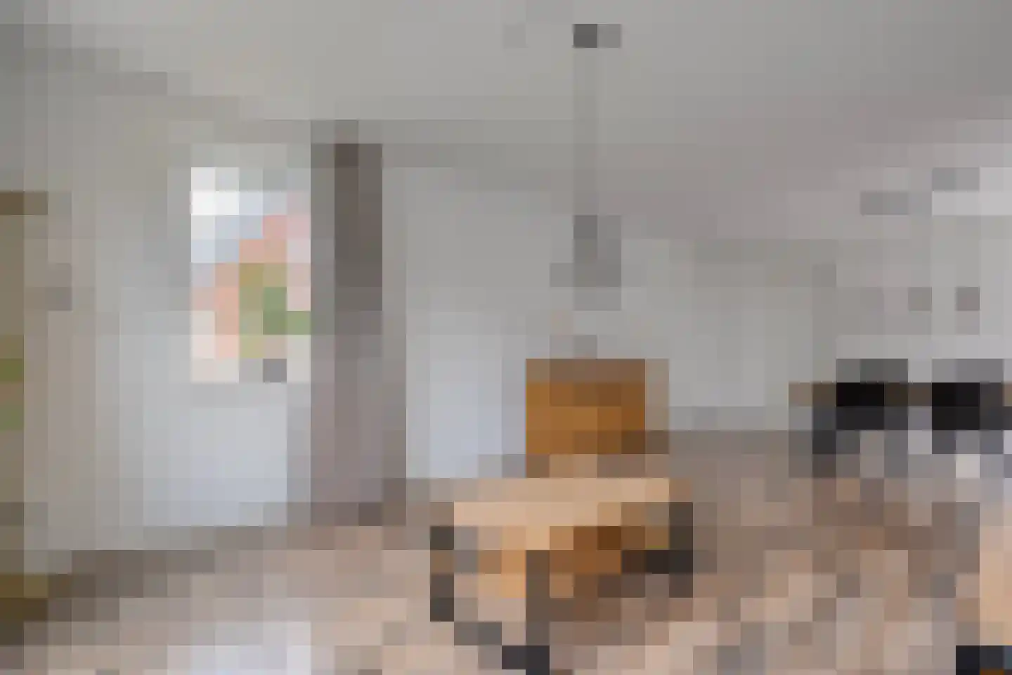 Roggestraat 50 Den Ham thumbnail 10