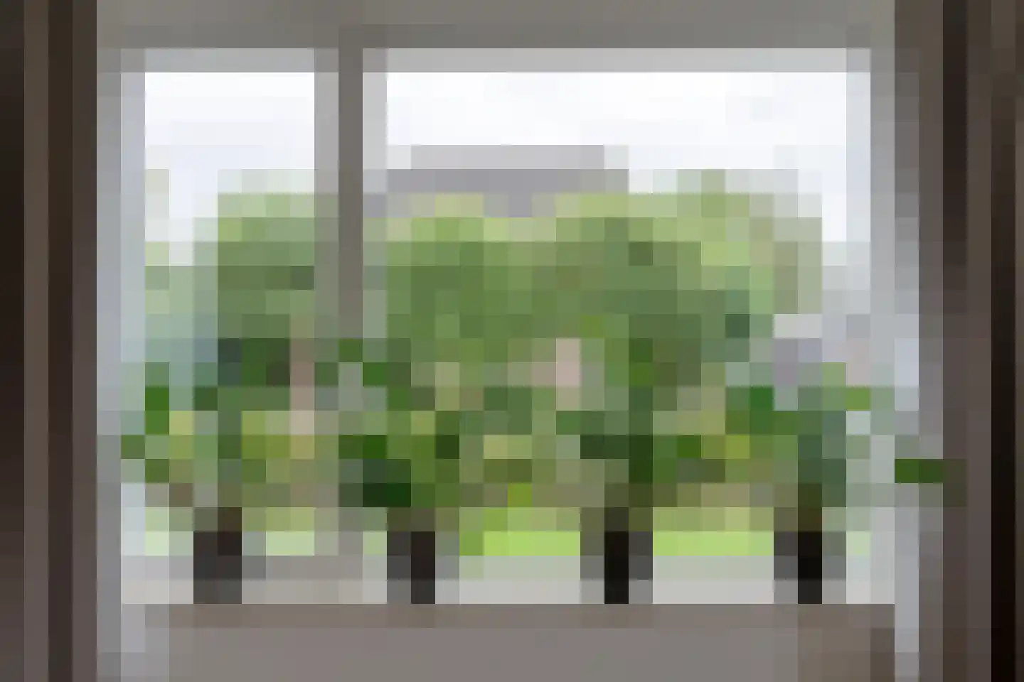 Roggestraat 50 Den Ham thumbnail 12