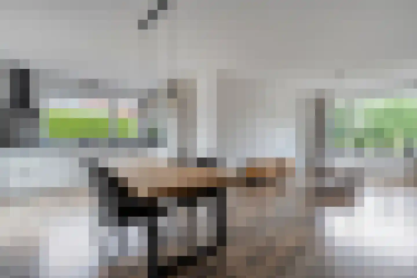 Roggestraat 50 Den Ham thumbnail 13