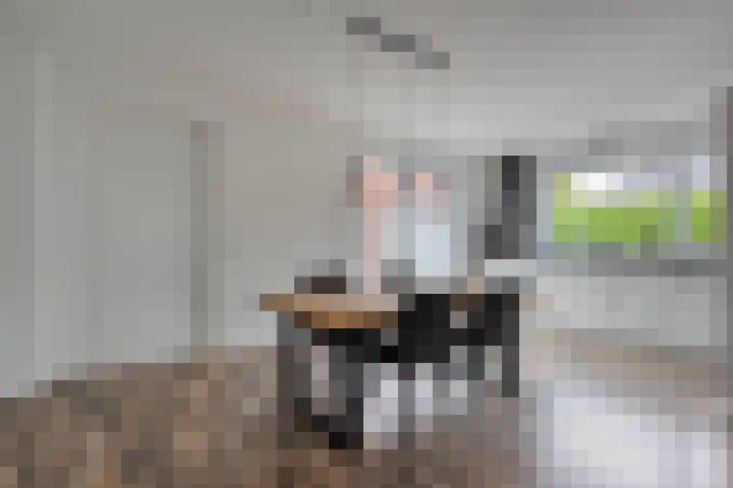 Roggestraat 50 Den Ham thumbnail 14