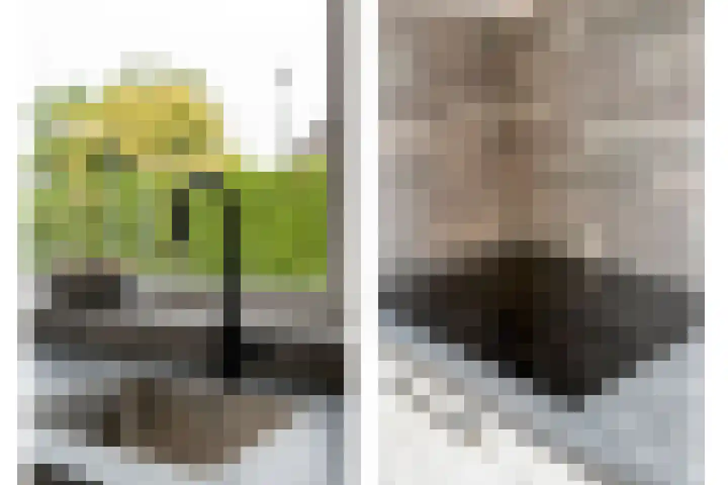 Roggestraat 50 Den Ham thumbnail 17