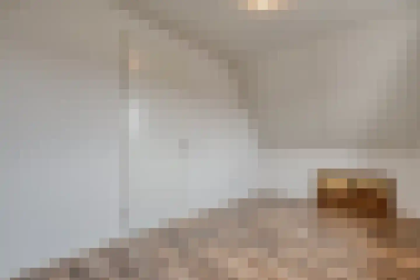 Roggestraat 50 Den Ham thumbnail 33