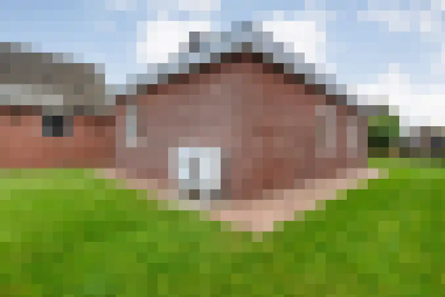 Roggestraat 50 Den Ham thumbnail 46