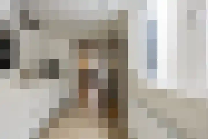 Roggestraat 51 Tilburg thumbnail 15