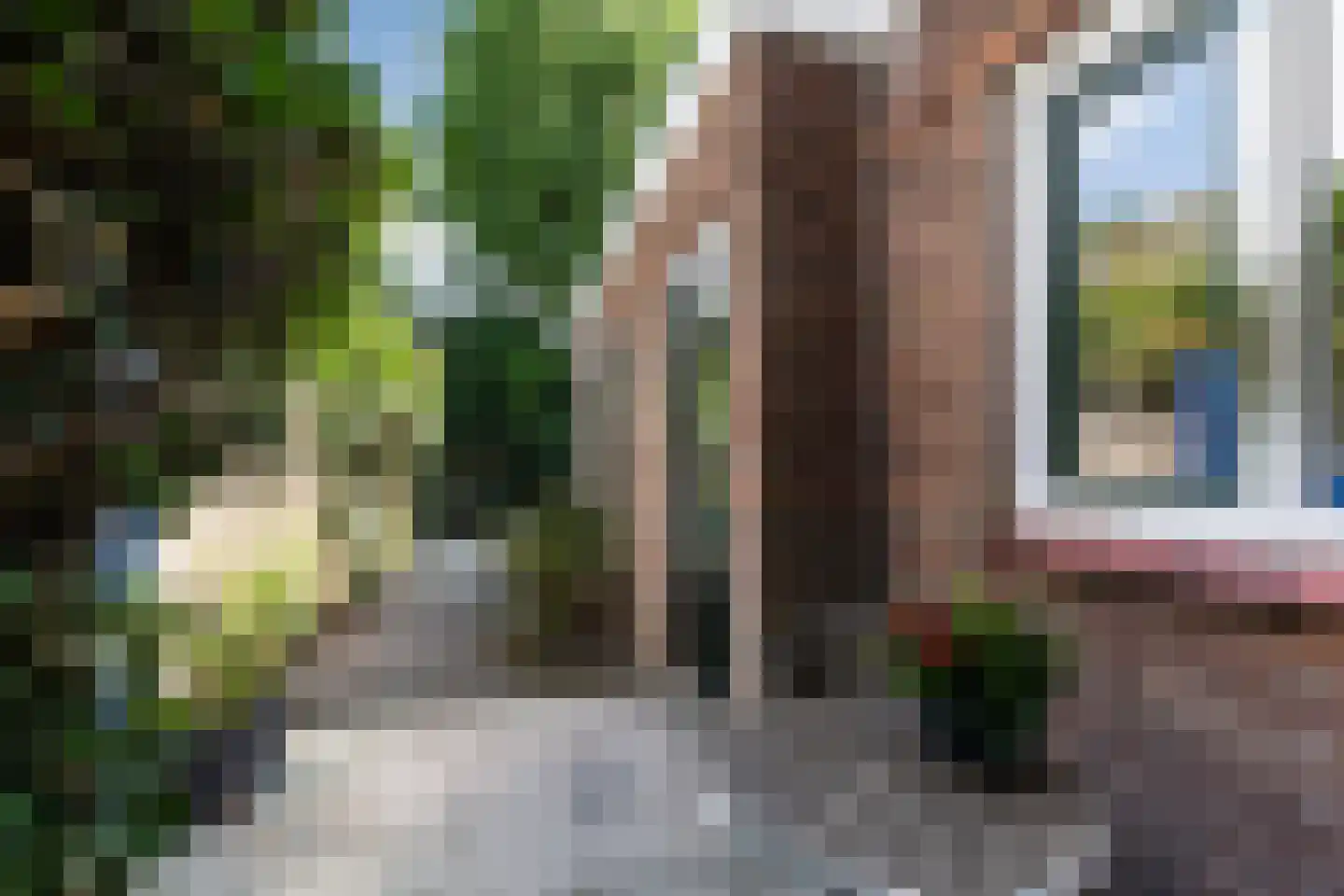 Roggestraat 54 Tilburg thumbnail 14