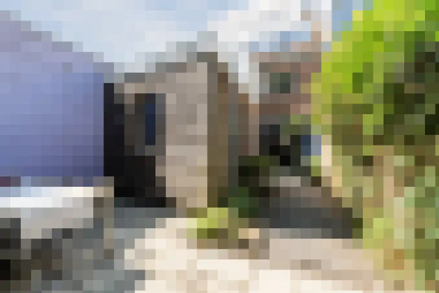 Roggestraat 54 Tilburg thumbnail 16