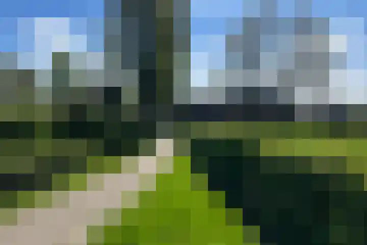 Roggestraat 69 Den Ham thumbnail 10